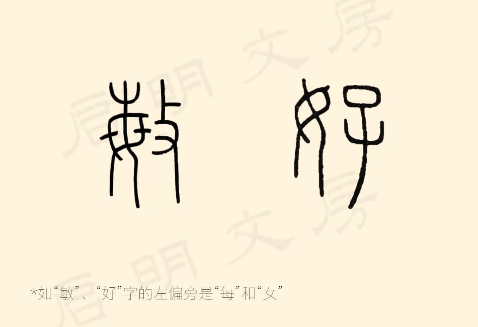 “敏”和“好”的左偏旁其实单独出来就是“每”和“女”字